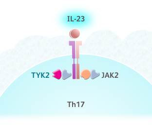 TYK2 and JAK2 graphic
